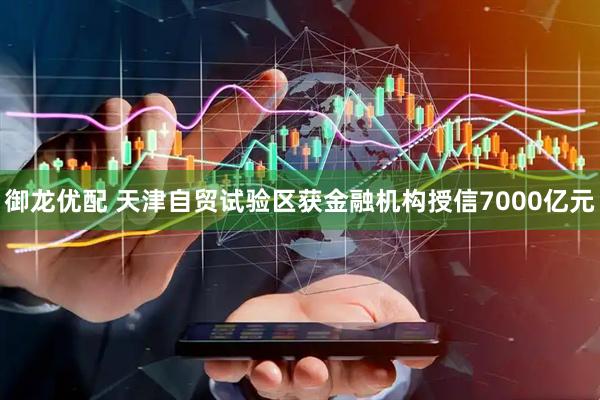 御龙优配 天津自贸试验区获金融机构授信7000亿元