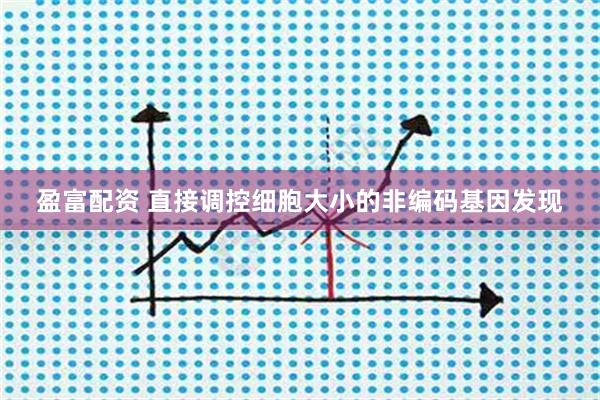 盈富配资 直接调控细胞大小的非编码基因发现